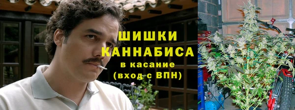 ешки Белокуриха