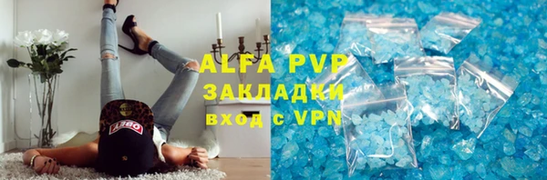 индика Белоозёрский