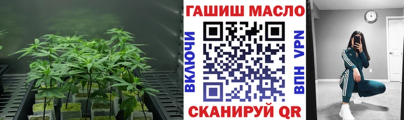 Дистиллят ТГК концентрат  Купить закладки  Новоуральск 