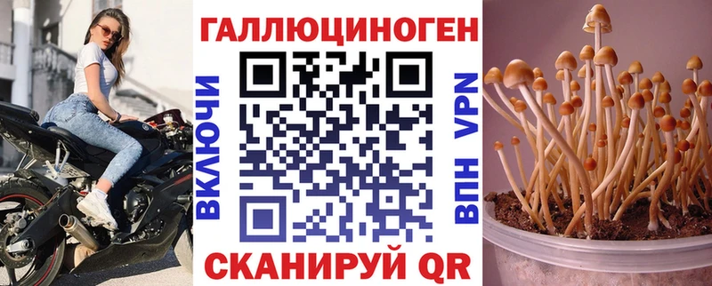 Псилоцибиновые грибы Psilocybe  Купить  Новоуральск 